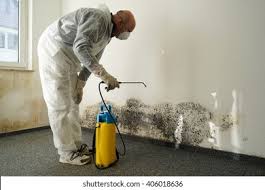 Best Industrial Mold Remediation in Hanna City, IL